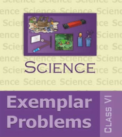 NCERT Exemplar Problems Science for Class 6- Latest Edition as per NCERT/CBSE