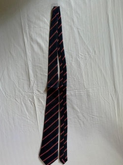 Darshan Academy Navy Blue Tie with Red Strips - Class 1 to 12