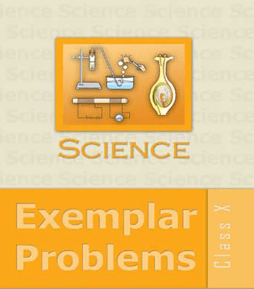 NCERT Exemplar Problems Science for Class 10 - Latest edition as per NCERT/CBSE