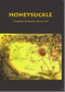 NCERT Honey Suckle - Class 6- Latest Edition as per NCERT/CBSE